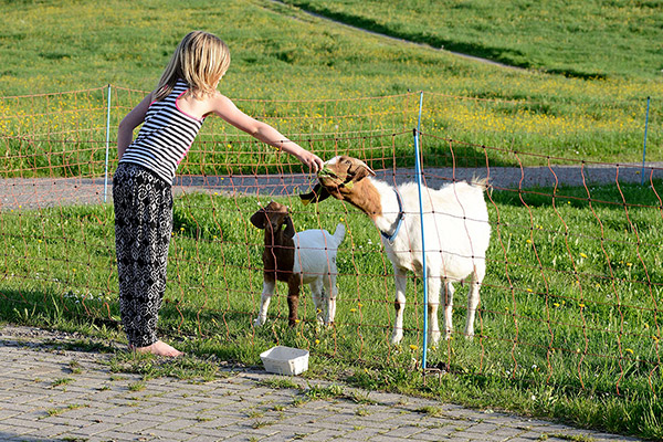 Holzhof Breitnau - Ferienwohnungen auf dem Bauernhof im Schwarzwald