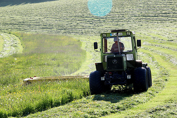 Landwirtschaft