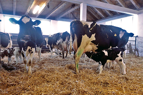 Landwirtschaft